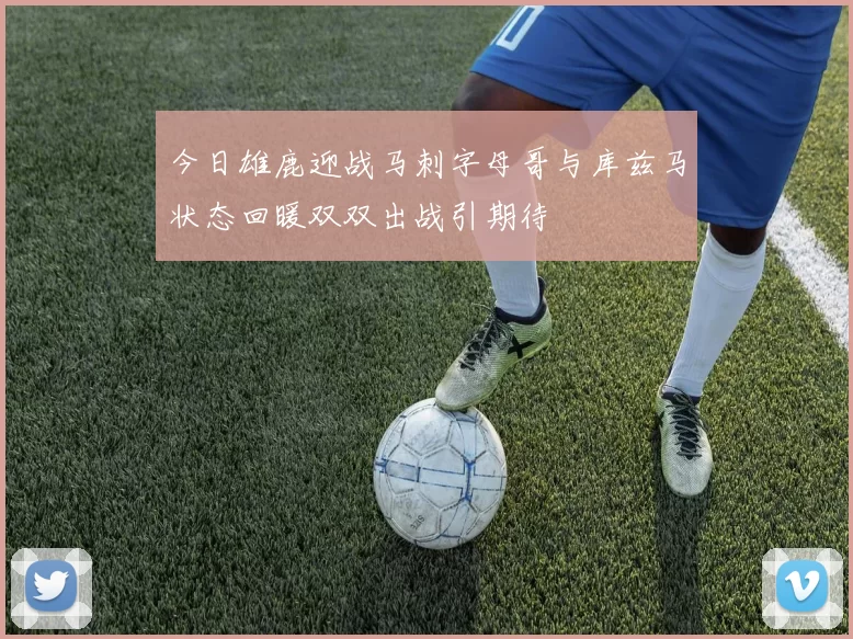 今日雄鹿迎战马刺字母哥与库兹马状态回暖双双出战引期待